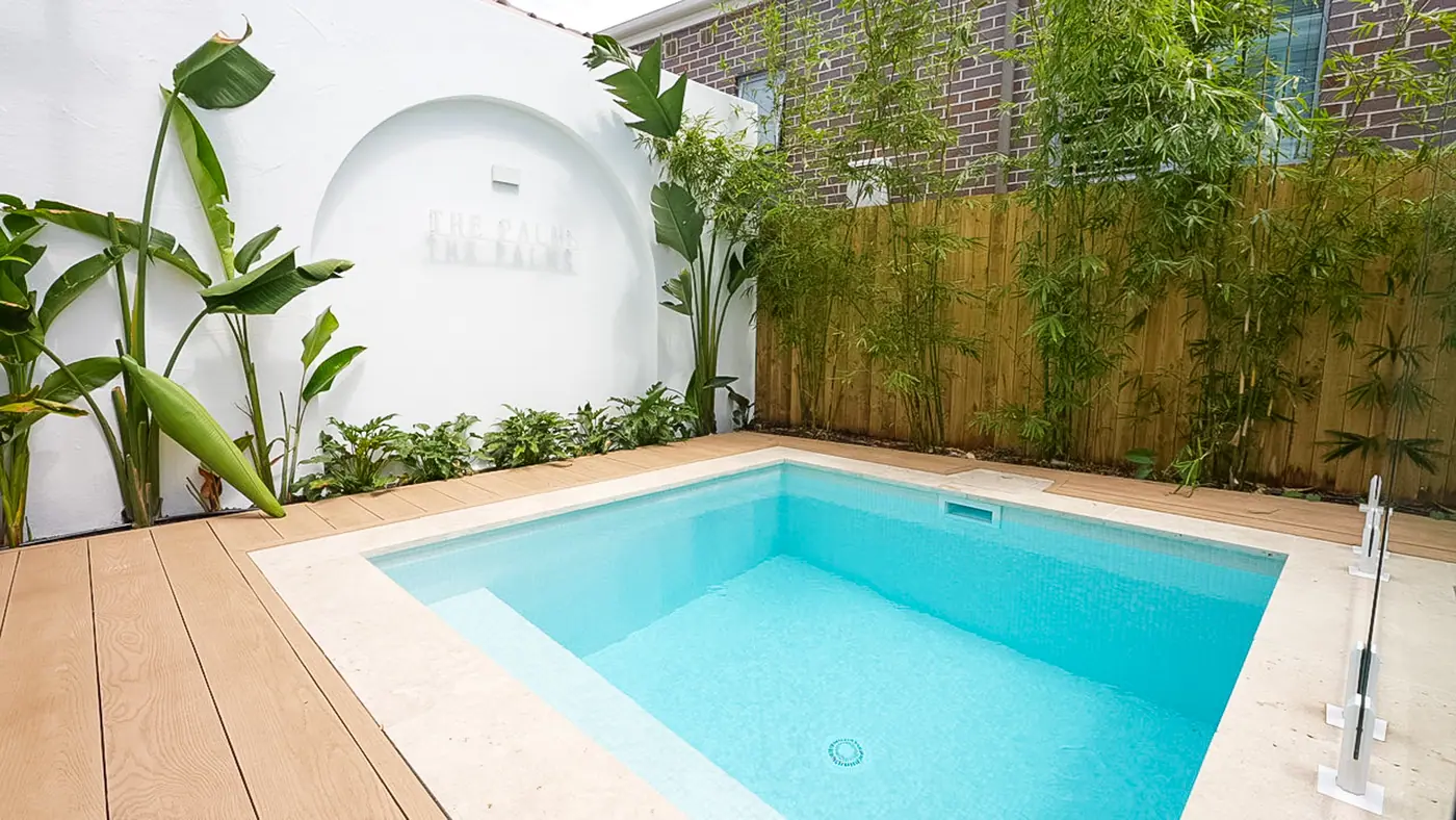 A plunge pool set into blond timber decking, with a rendered white wall along one side and bamboo screening against the back fence.